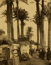Palm trees, thatched roof huts, and villagers along the banks of the Nile River, Egypt. 1880