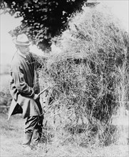 President Coolidge Loading Hay