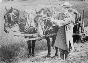 President Coolidge with a Team of Horses