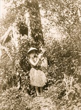 Quinault berry picker 1913