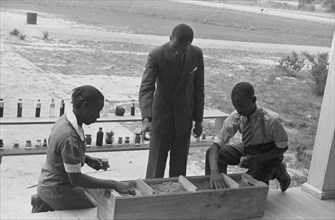 Robert Pierce, school principal, directs a science class making experiments with soils, Gees Bend, Alabama 1939