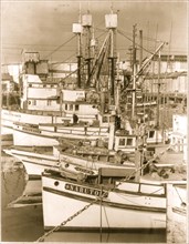 Boats of Japanese Owners impounded in 1942 1942