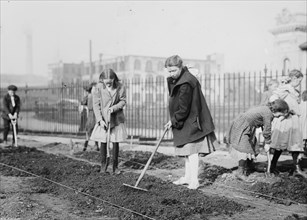 School children outside digging, making garden 1907