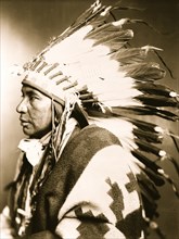 Sego--Shoshone Indian,  1899