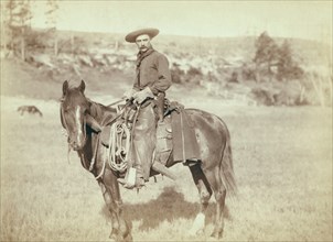 Cow Boy  1890