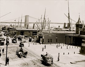 South Street and Brooklyn Bridge, New York 1900