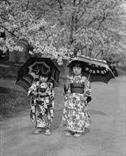 Umbrellas Prevent Falling Petals 1925