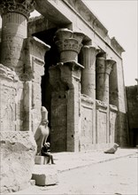 Temple of Horus, Edfu. Colonnade in court showing a colossal hawk 1910
