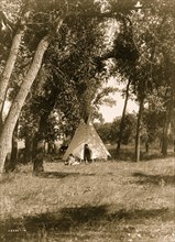 Camp in the cottonwoods--Cheyenne 1910