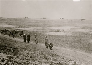 German Artillery near Verdun 1916