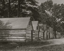 The Black berry pickers shacks on the farm of Col. J. J. Ross, Del. 1911