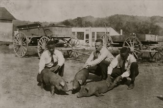 These three colored boys have had work in the 4 H Club and now, beyond the age for club membership, they are carrying on and raising pigs still.  1921