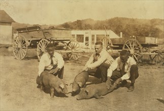 Three Kids and Pigs 1921