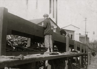 Picking Wood Slabs 1914