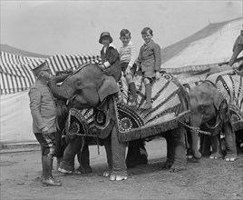 Three Children Ride a Circus Elephant