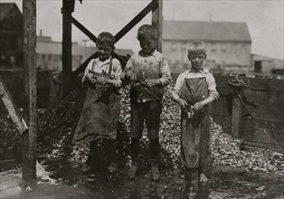 Three Sardine cutters at the Seacoast Canning Co., Eastport, Me.  1911