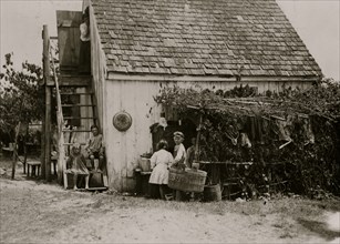Three families is the rule in these shacks, one room above and one below, but sometimes four families crowd in. 1910
