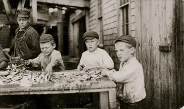 Three young cutters who work in Seacoast Canning Co.,  1911