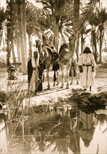 To Sinai via the desert. Scene at the Springs of Moses; Marah 1910