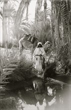 To Sinai via the desert. Scene at the Springs of Moses; Marah 1910
