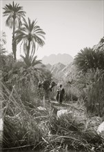 To Sinai via the desert. Wady Feiran and Jebel Serbal. 1910