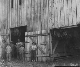 Tobacco drying Barn of Daniel Barrett 1916