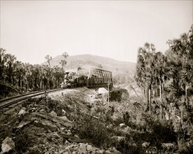 Train crosses the Bridge at Crucitas, Costa Rica 1885