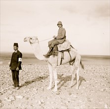 Turk [i.e., Turkish] officers & camel in Sinai campaign 1917