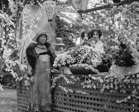 Twin Oaks Garden Show in DC 1926