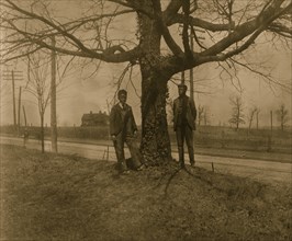Two African American men standing next to a tree in Georgia 1899