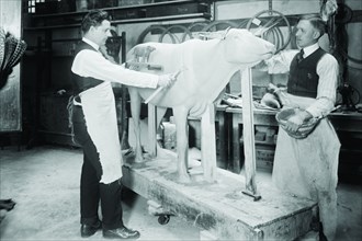 Two artists sculpt a cow for a Museum Exhibit 1919