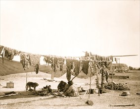 Two Dakota Sioux Indians cutting meat and drying it on poles. 1908