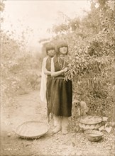 The fruit gatherers 1905