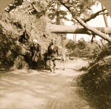 Uprooted by the great earthquake. Trees over road near Fujisawa, Japan 1924