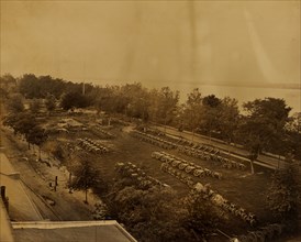 View in arsenal yard, Washington, D.C. 1863