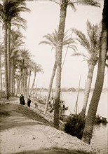 View looking down the Nile, Cairo 1910