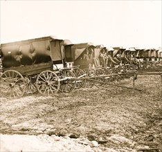 Virginia, City Point. Park of Army Wagons 1863