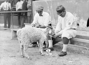 Washington Baseball Goat Mascot 1912
