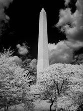 Washington Monument 2009