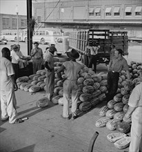 Washington, D.C. Unloading watermelons at the farmers' market 1942