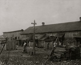 About 50 persons housed in this miserable row of dilapidated shacks located on an old shell-pile and partly surrounded by a tidal marsh.  1912