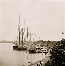 White House Landing, Va. View down river, with supply vessels 1862