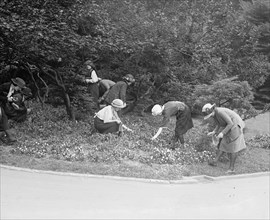 Women Picking Flowers 1922