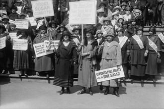 Women Support the Save Sugar Campaign 1918