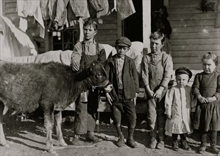 Boy with calf is Pamento Benson. Raising it for beef. 1908
