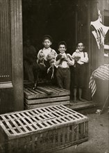 Young Jewish Chicken Vendors,  1908