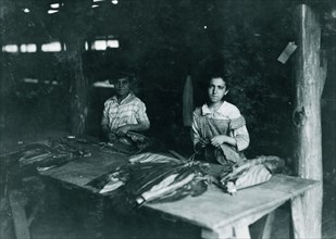 Young girls of 11, 12, 13 yrs., string in shed of Goodrich Tobacco Farm, near Gildersleeve. 1917
