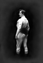Bodybuilder's Back and Partial Left Profile