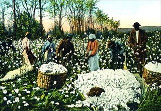 Cotton Field Workers 1918