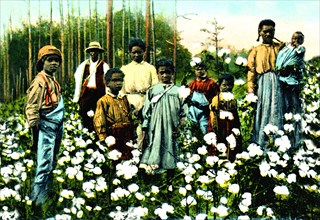 Portrait of Cotton Field Workers 1918